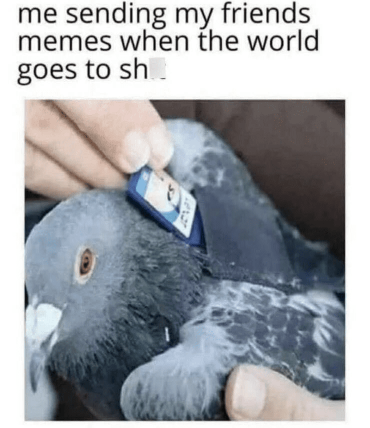 1746764745316