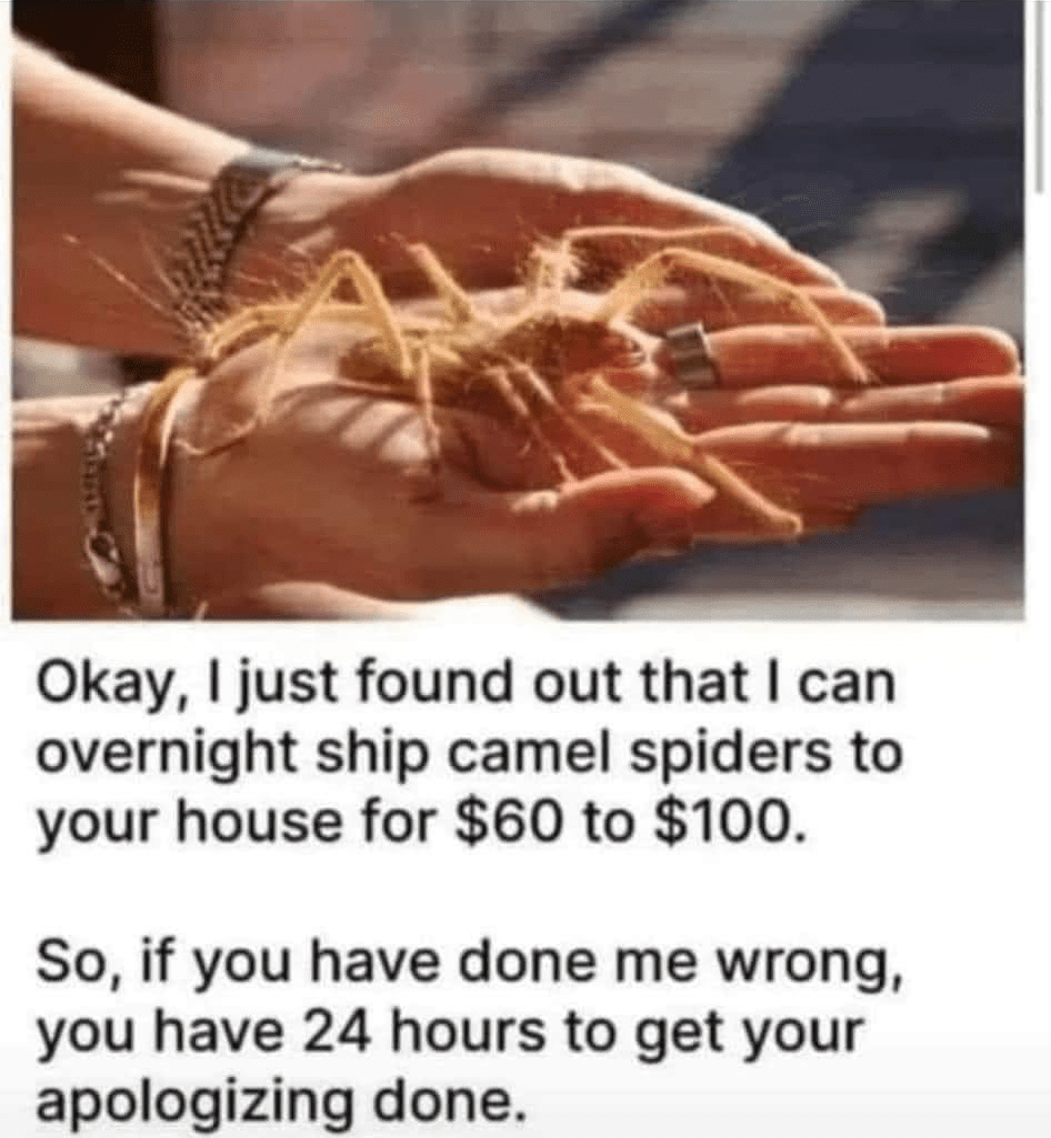 1757933181888