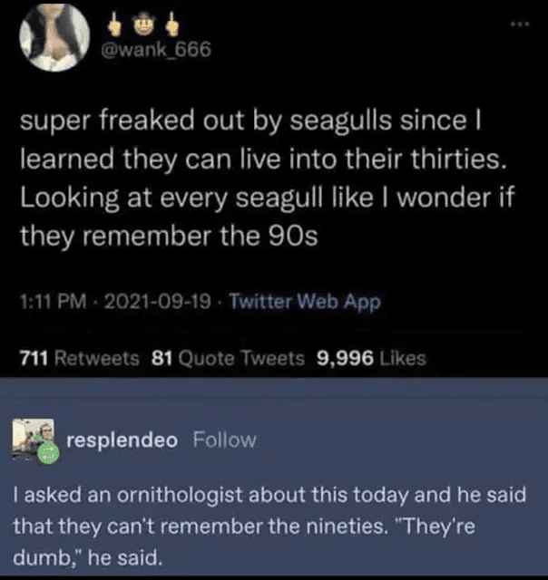 30s.seagulls