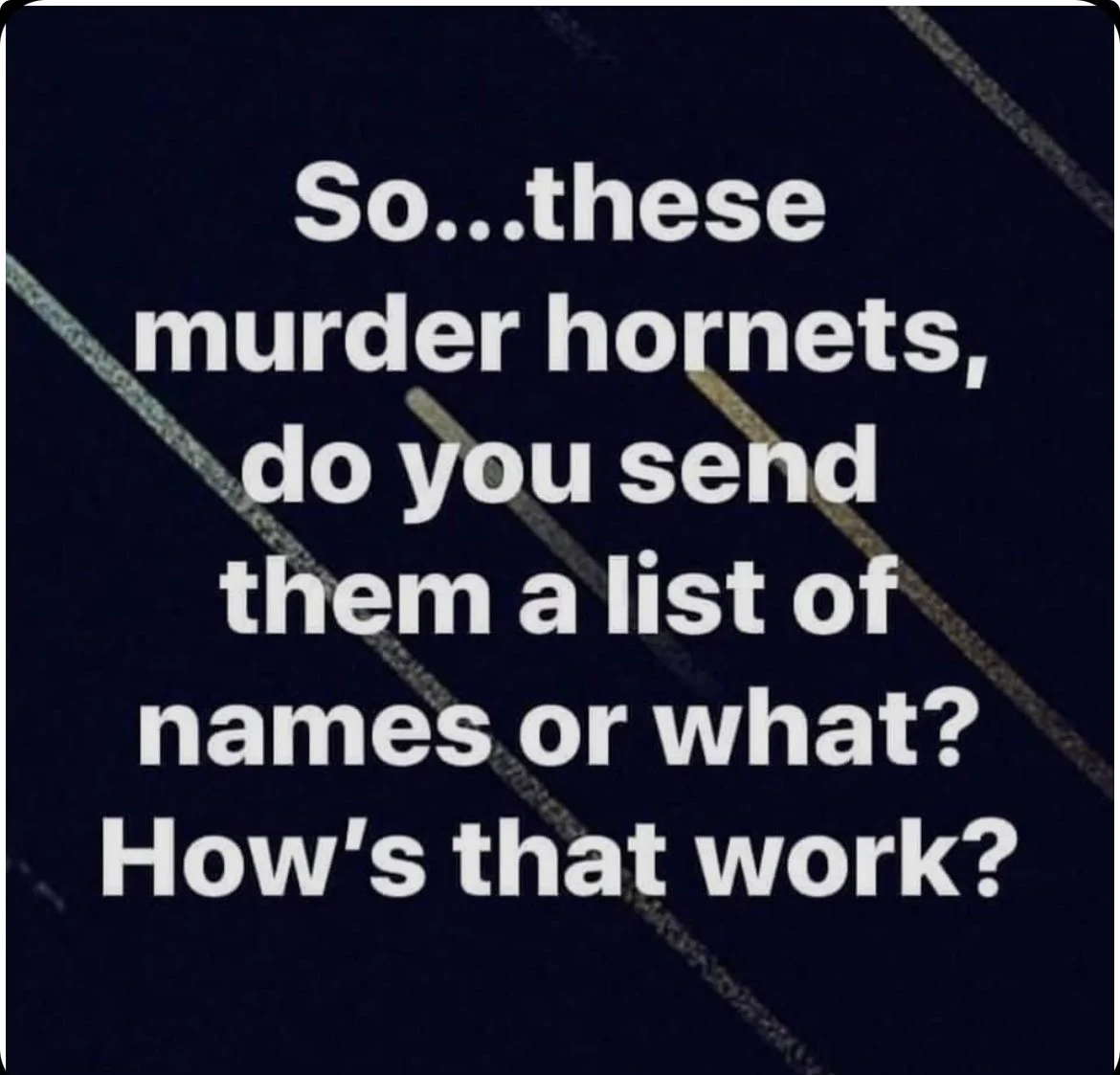 444810-703adee5fff56c2b2073e840d297c328