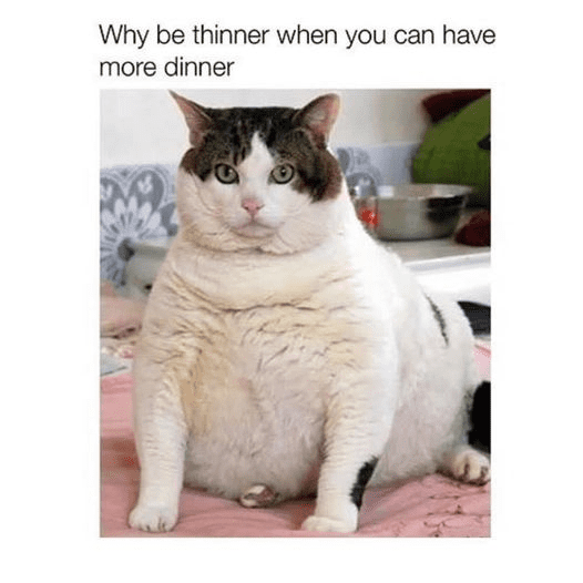 467167490 996440892522497 4802788773784036112 n