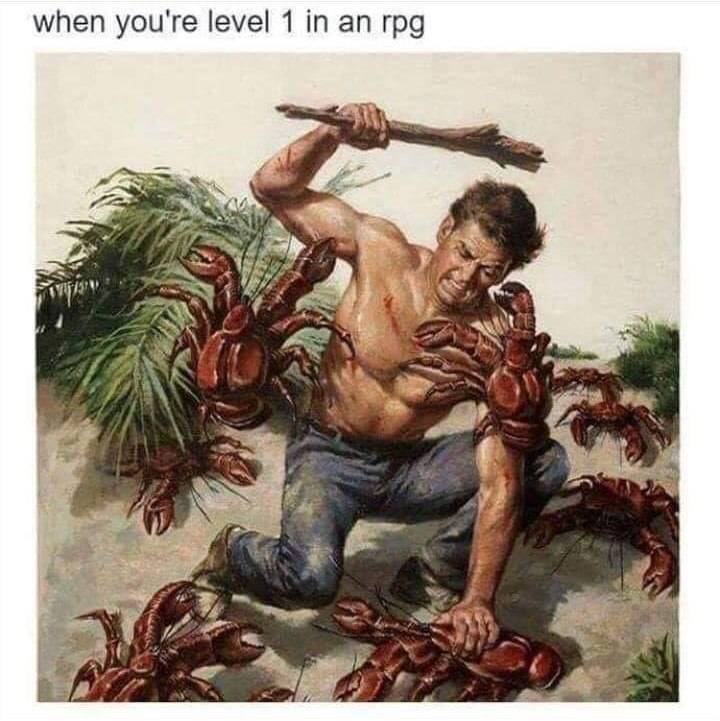 476648944 1079672577298052 4182450362472563171 n