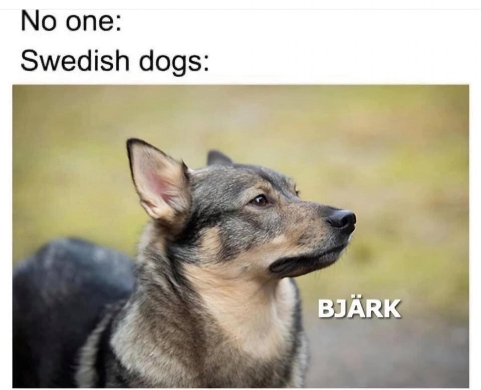 480598292 1329254975287672 1511770554821735280 n