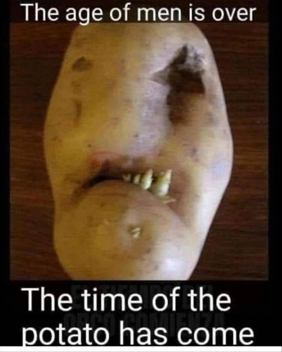 490334918 647455928199915 2965311659263279469 n