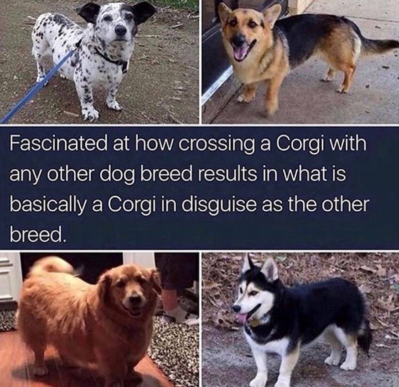 506809411 1110490387770267 626889061717281127 n