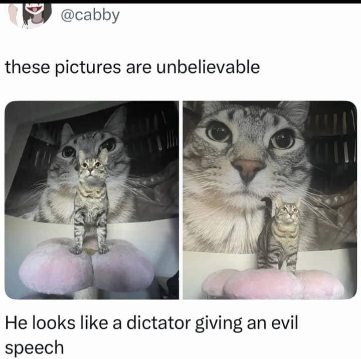 50a9ba62-ddb8-4533-ad46-956d88c43463