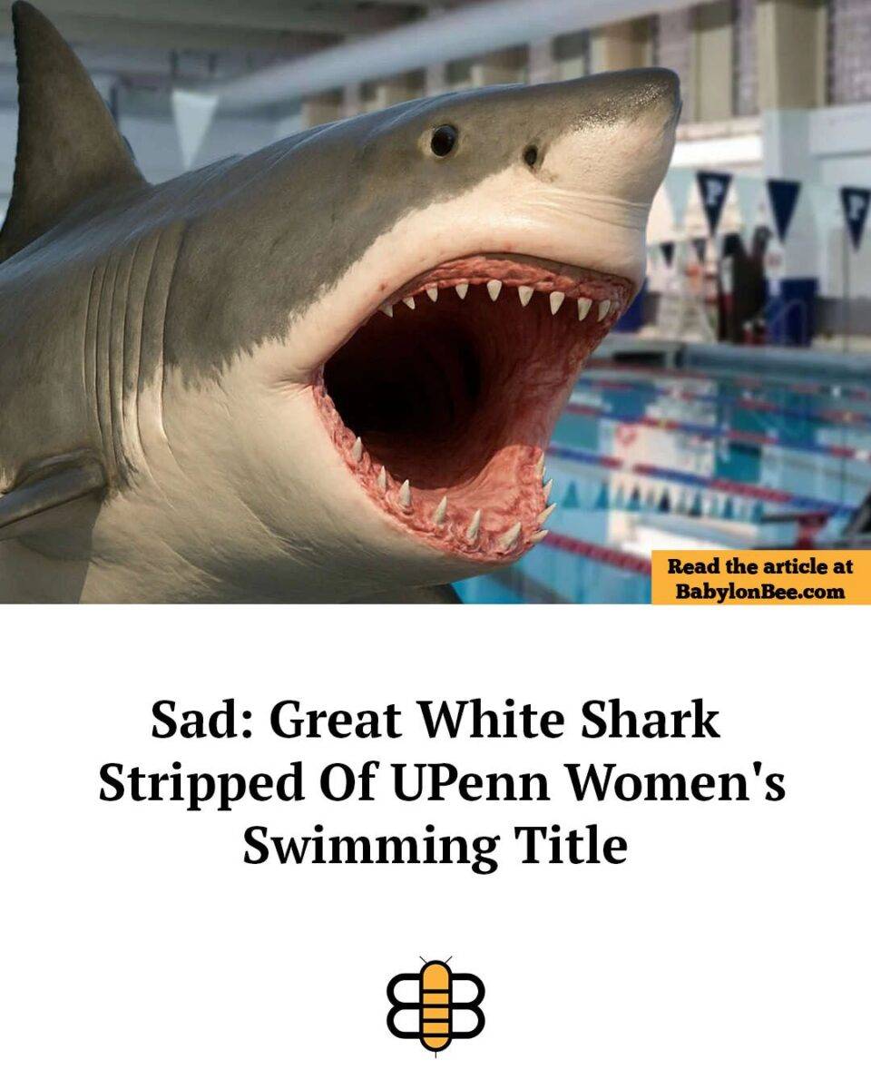 514398762 1051433417160399 974283511989052071 n