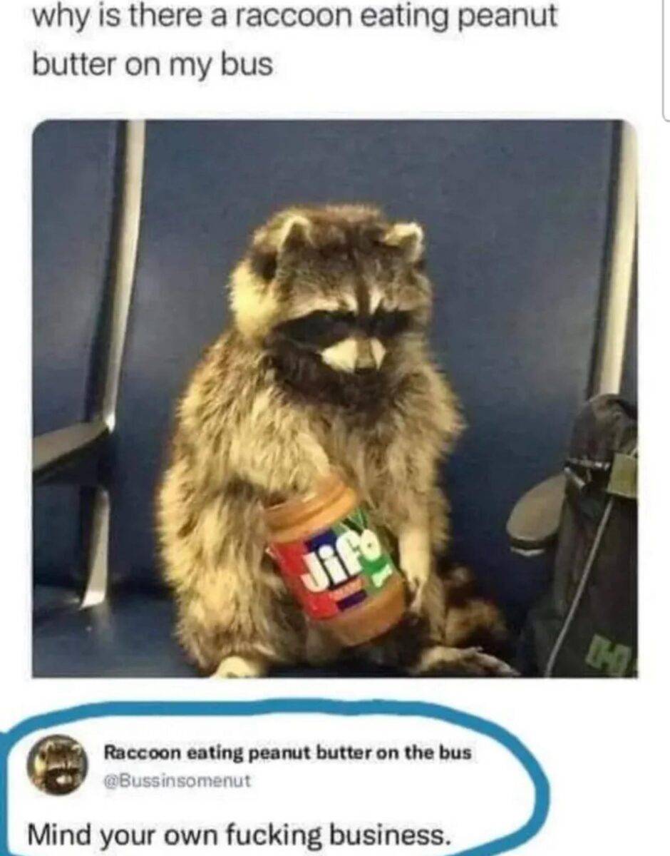 515491187 781811937905726 8034857394031788791 n