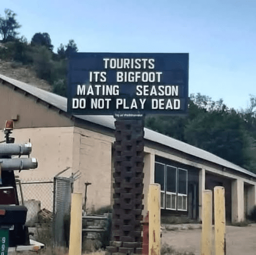 515789212 24131460146519254 3270375068560205328 n