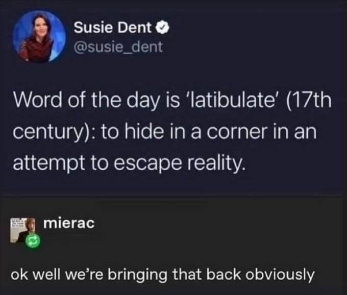 516014764 1303863901409283 3322052620271157766 n