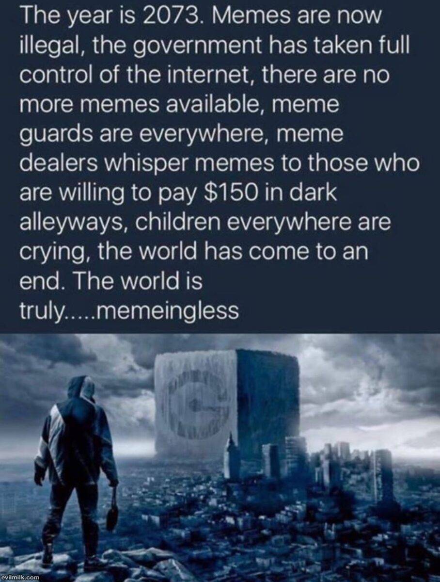 520434774 725423163736524 2840832769535565439 n