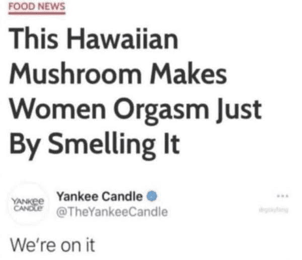 521679348 31006967492228034 8634044003790909222 n