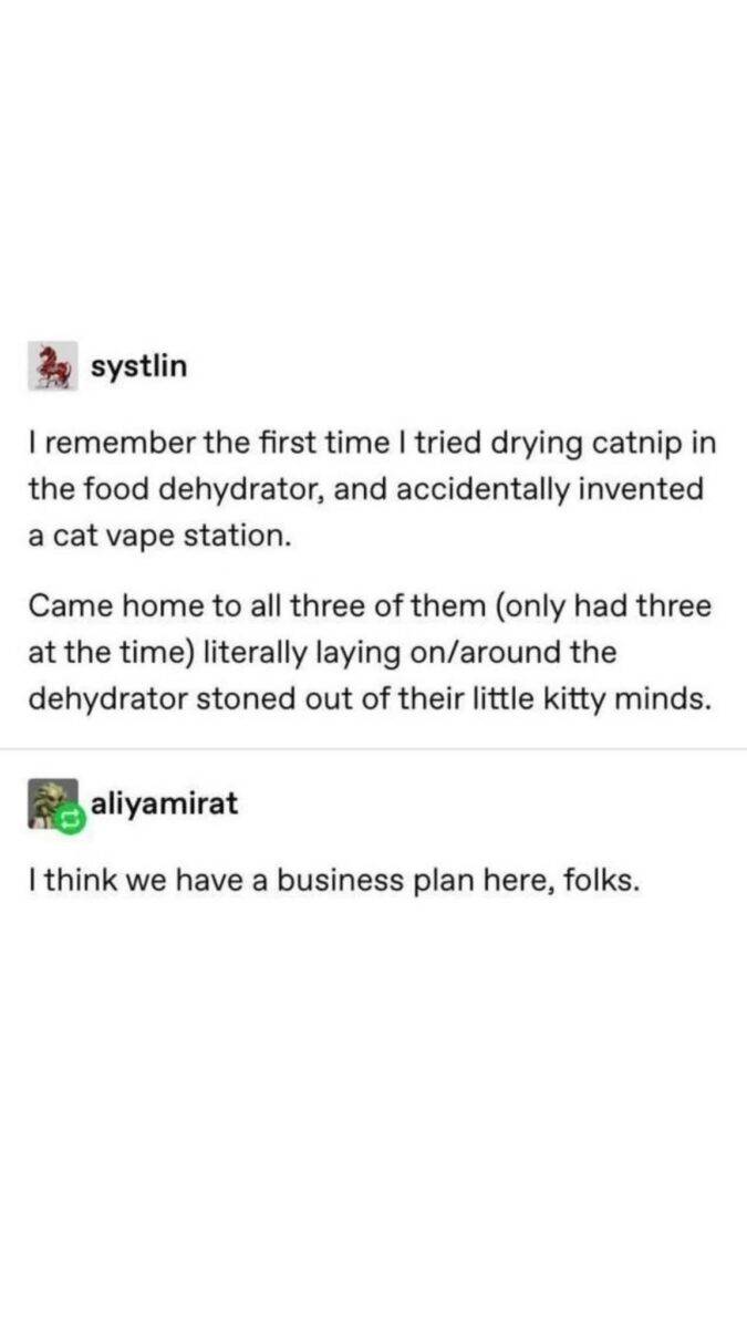 522331388 726503446813216 3996312815843901638 n