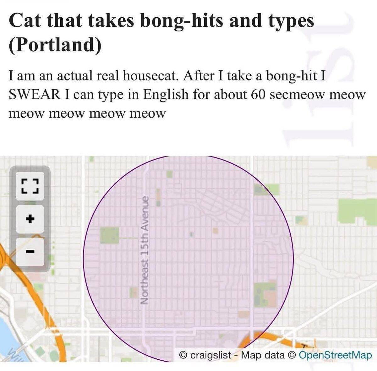 524990324 1205706984933016 2455004013081907924 n