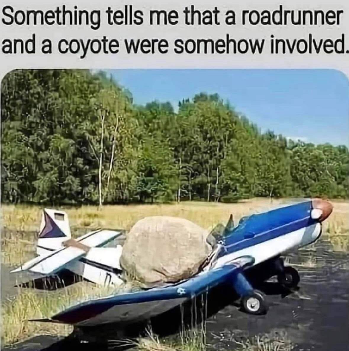 528451524 10229771010045947 3150126484964422223 n