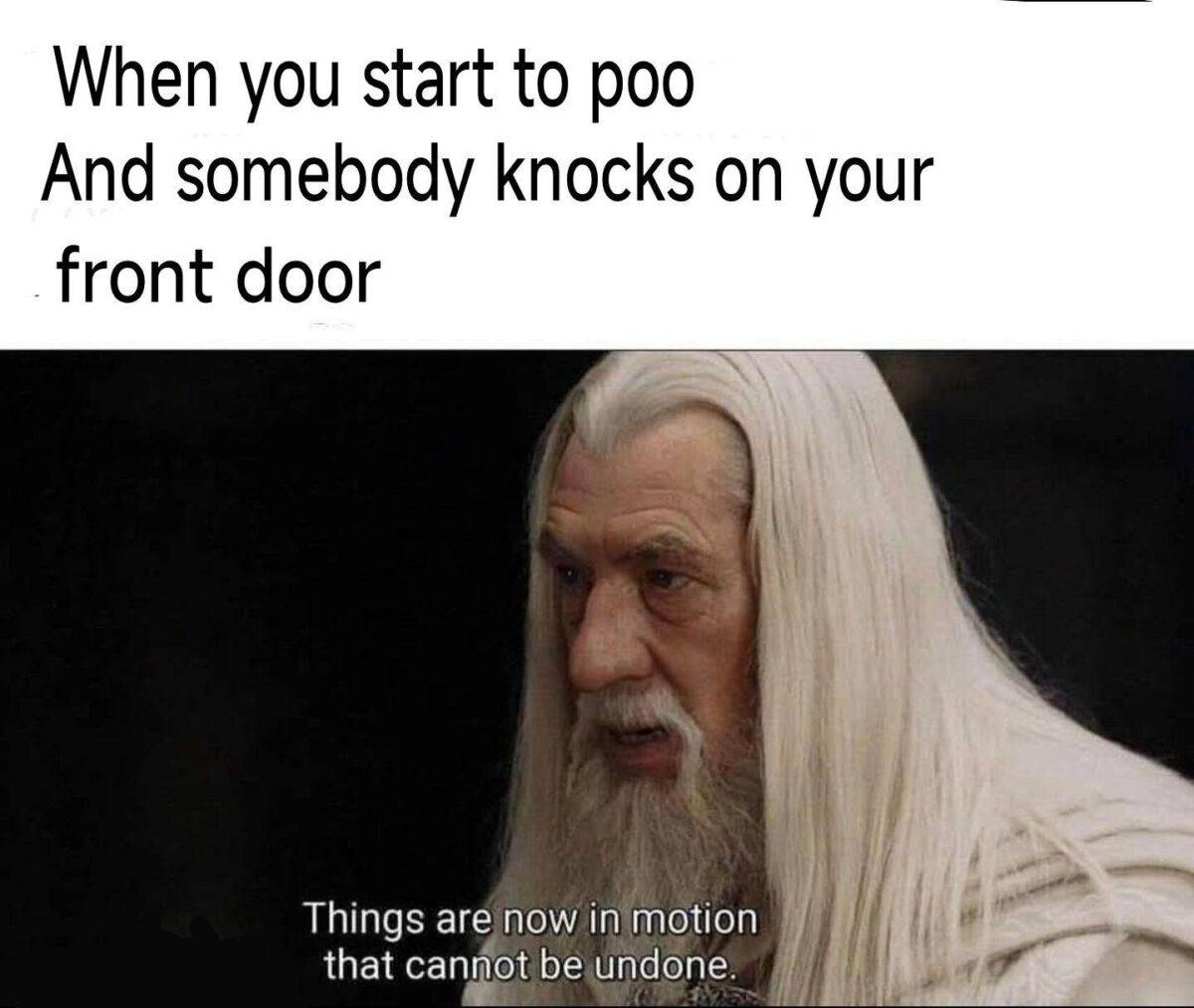 53aea182-8d2c-4f77-8ddc-599a11c13ba8