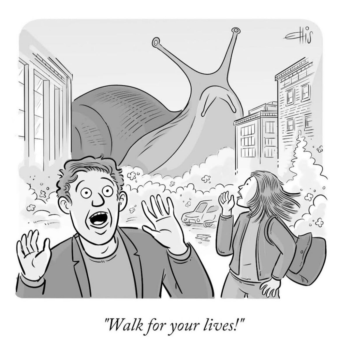 540010449 18523753561014109 5037551760712797107 n