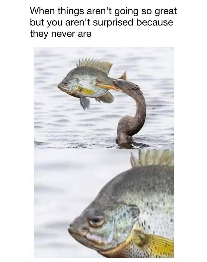 560713885 1139373048302588 8397186882527168836 n