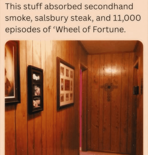 565697284 1387588719394611 5880173654675942620 n