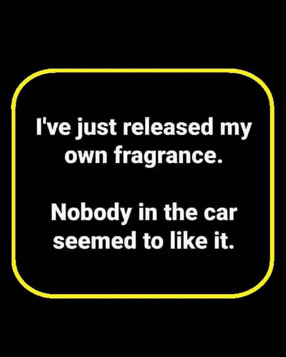 565748196 1378914514238446 8275103341254802525 n