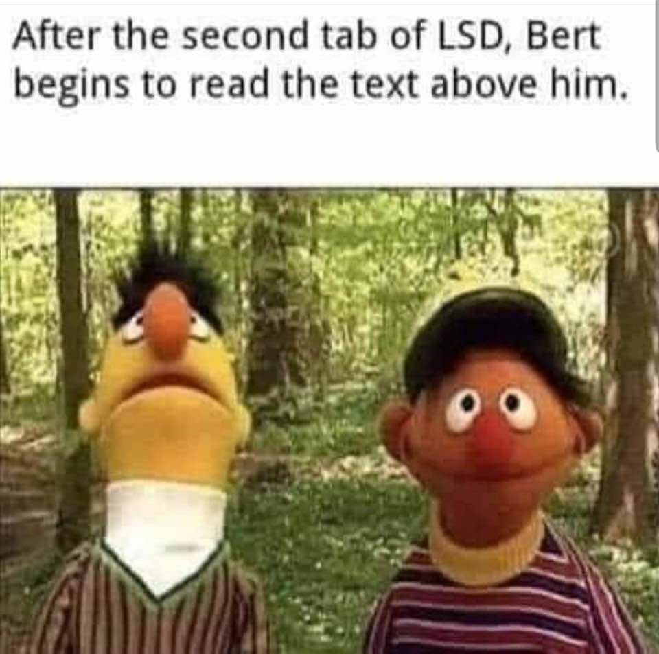 584511261 25938446922424521 2859812104786754557 n