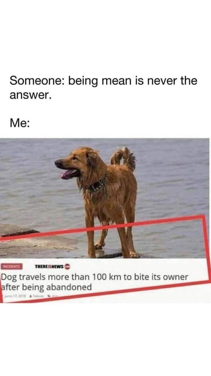 77947d37-2f78-43c7-99c9-9afcaedff0a9