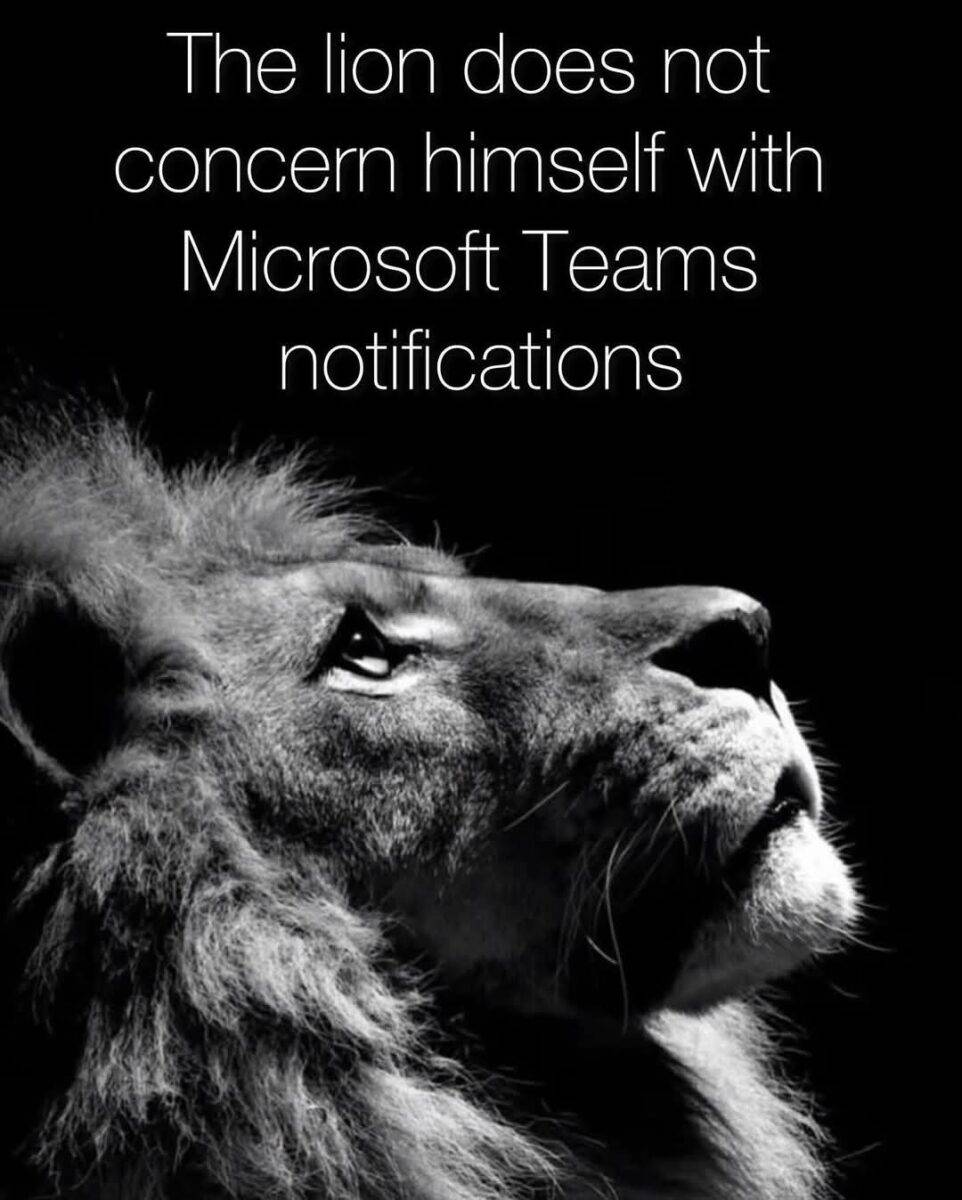 FB IMG 1748245443329