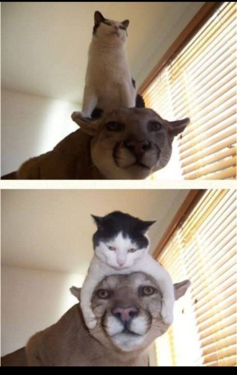 FB IMG 1751006099165