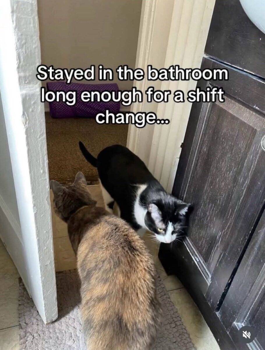 FB IMG 1751263795977