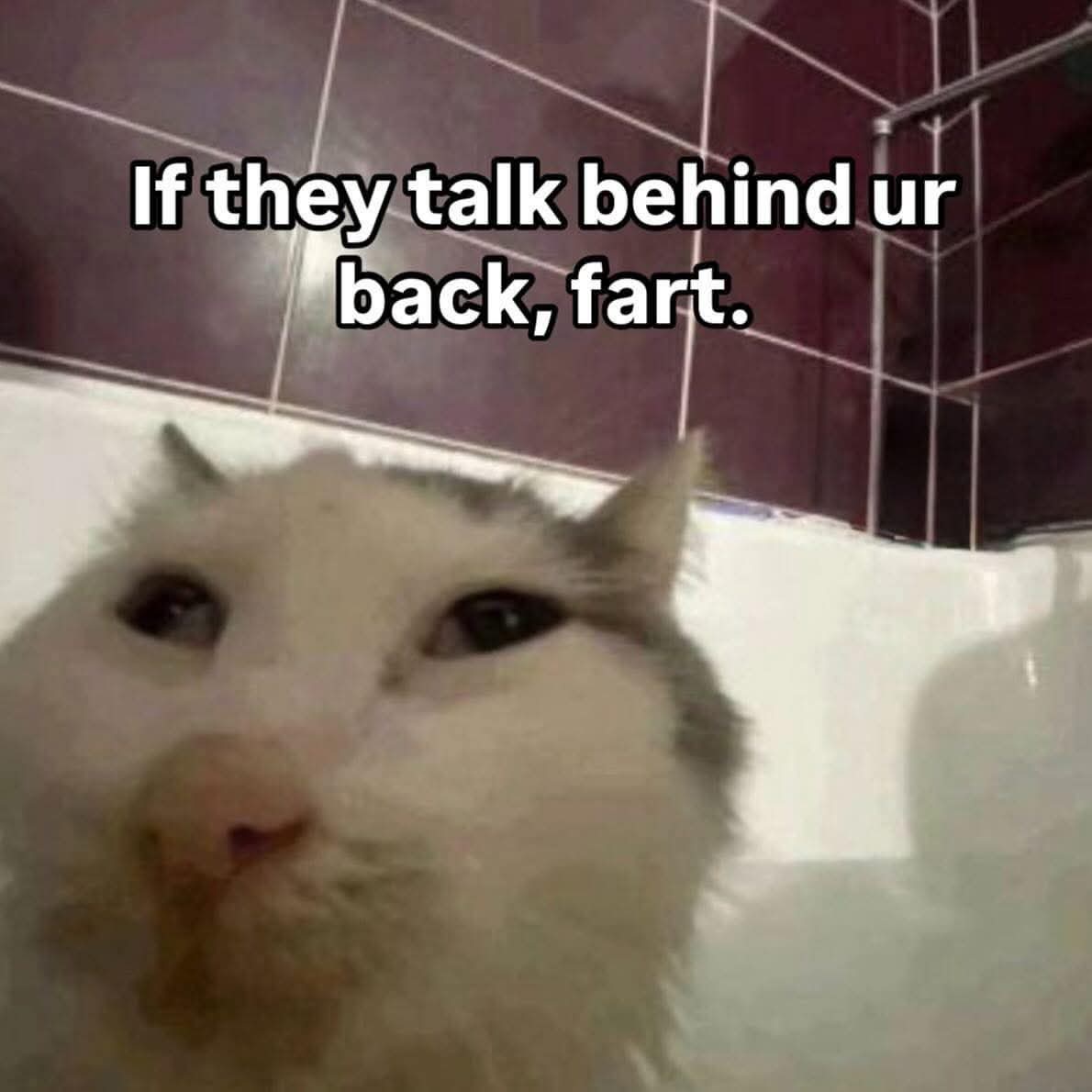 FB IMG 1751279969546