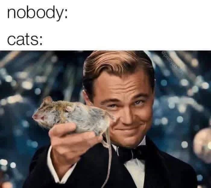 FB IMG 1758064580665