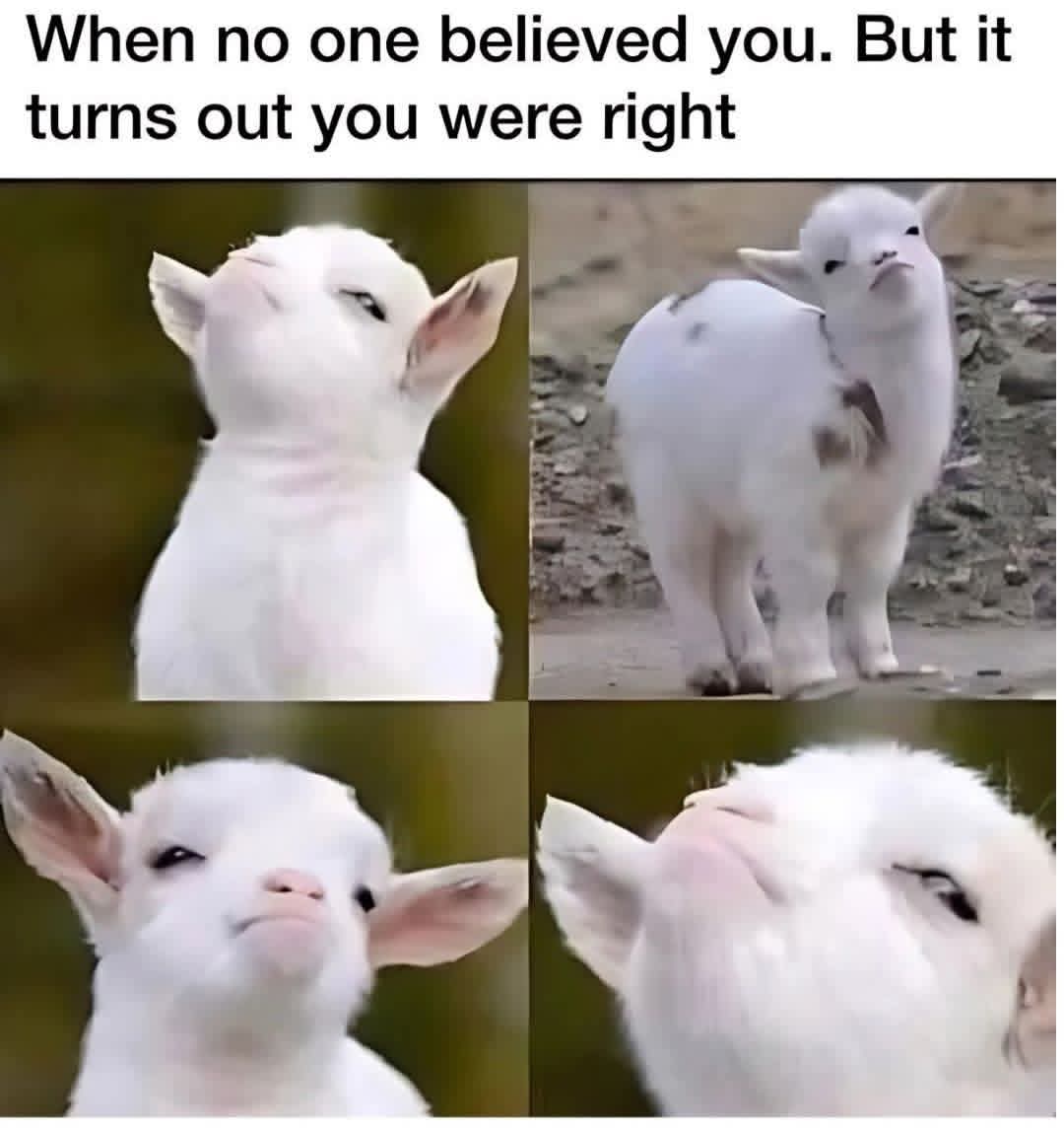 FB IMG 1758303061339