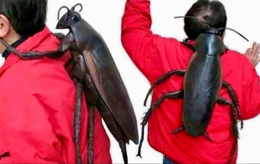 FB IMG 1758305311136