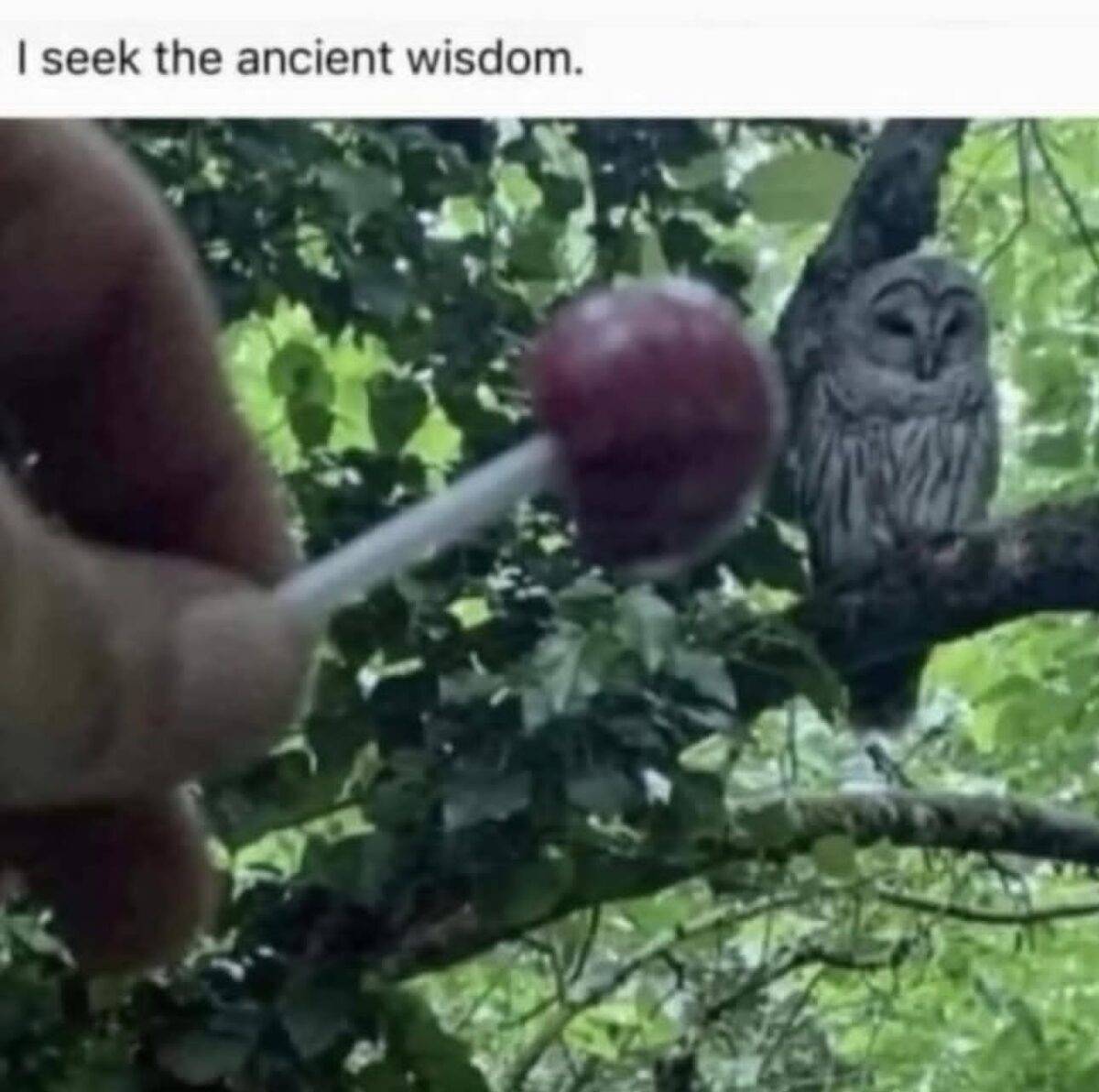 FB IMG 1760205761202