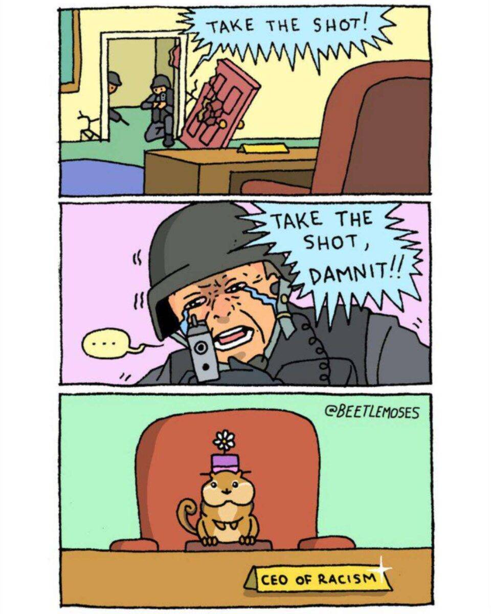 InShot 20250430 072719233