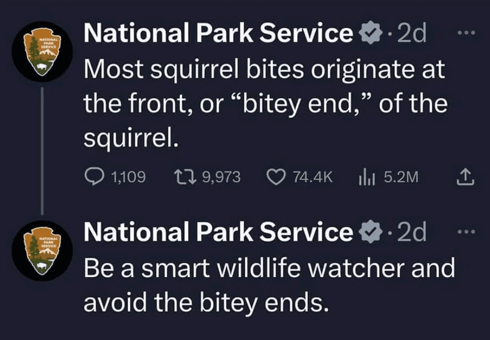 Screenshot-2025-01-06-200019