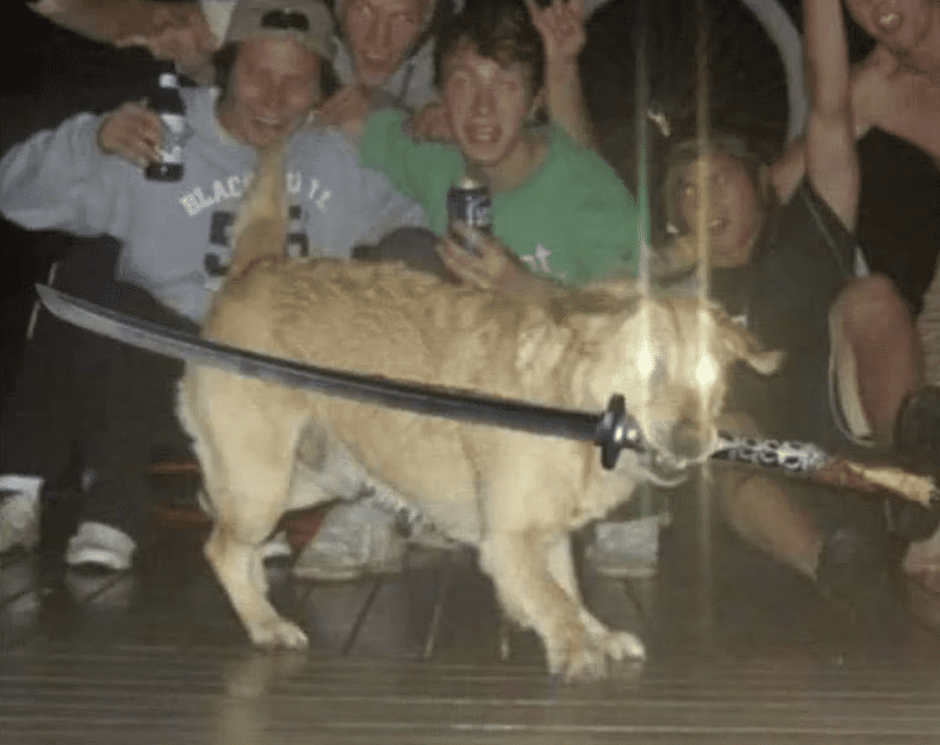 Screenshot-2025-01-21-205723