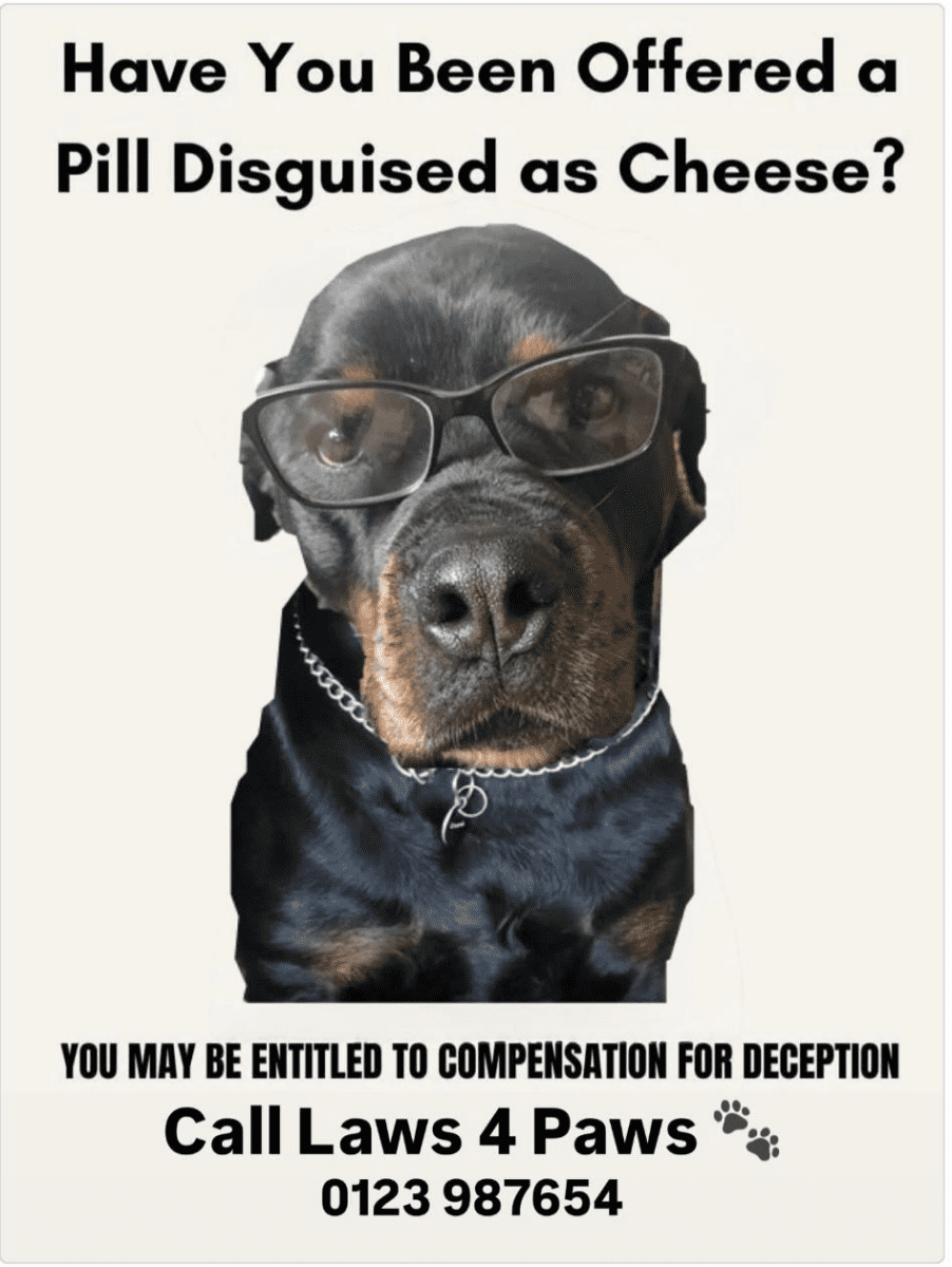 cheese pill