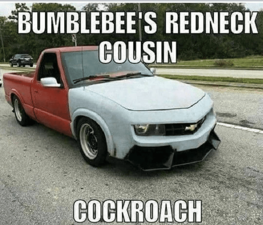 cockroach