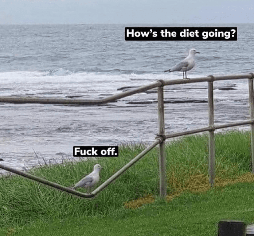 fuck diet