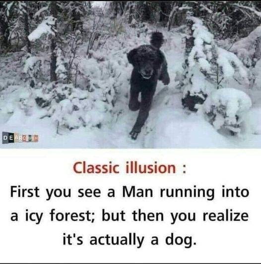 main-qimg-746b61e8fa7294c7d0992e7ea654d4aa