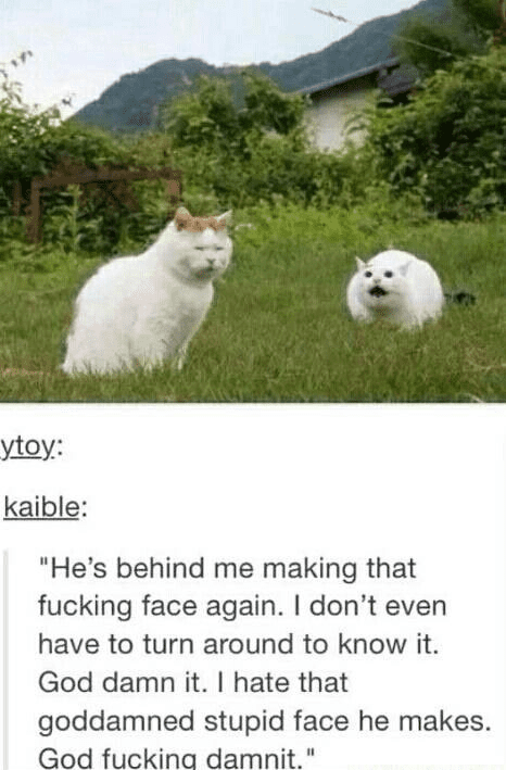 that face