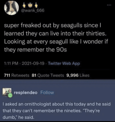 30s.seagulls
