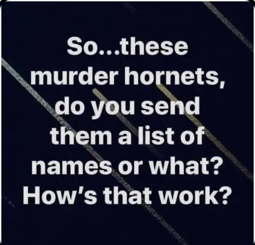 444810-703adee5fff56c2b2073e840d297c328