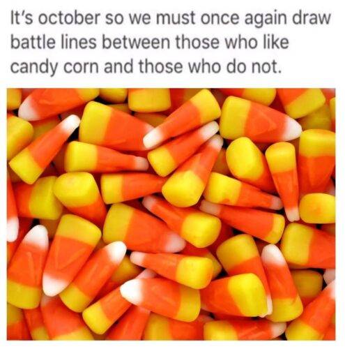 444863-d657eed48df2fef21fc14d4daf043952-ezgif.com-webp-to-jpg-converter