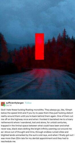 464284737 9091414840877565 1311970896195101055 n