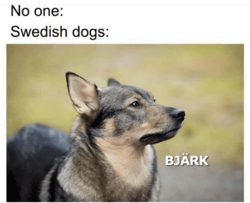 480598292 1329254975287672 1511770554821735280 n