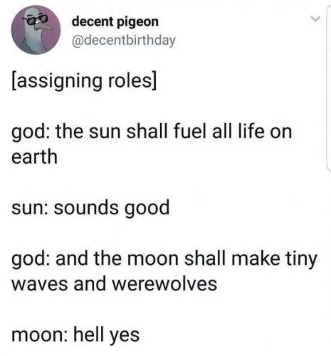 484870512 627565556855619 5275234706848666818 n