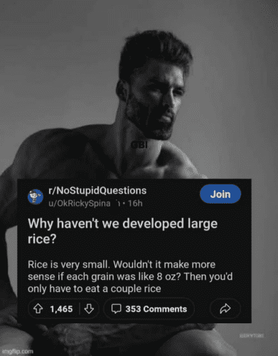 490049411 1002061168693877 9190428006821806392 n