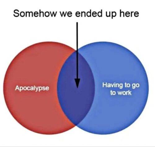 490498019 648192904792884 532638902070939214 n